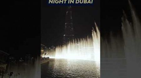 I Made a Video for Dubai Yacht Rentals | Watch Now!