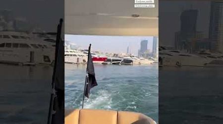 Dan Bilzerian shares yacht view