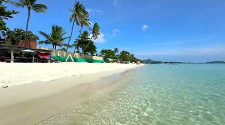 Koh Samui Chaweng Beach, Tropical Paradise Beach Therapy: Perfect Beach View, Asia&#39;s Clearest Water