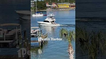 Destin Boats #destinflorida #travel #destin #beach #destinbeach #waves #floridacity