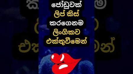 හම්බෝ ඒ දේ නම් හිතාගන්නවත් බෑ 