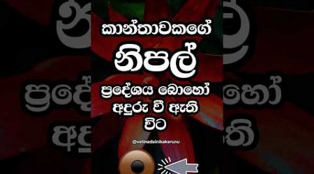 ඒකෙන් අදහස් වෙනදේ ඔයා දන්නෙනම් නැතුව ඇති