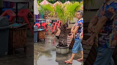 Thailand weather report Nov.24 Central Samui, Koh Samui