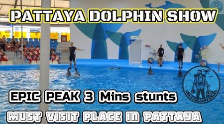 PATTAYA DOLPHIN SHOW EPIC STUNTS - 3 mins - 