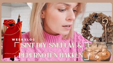 Sinterklaas Cricut DIY, Sneeuw &amp; Pepernoten bakken - WEEKVLOG 2024 | Lifestyle Spot