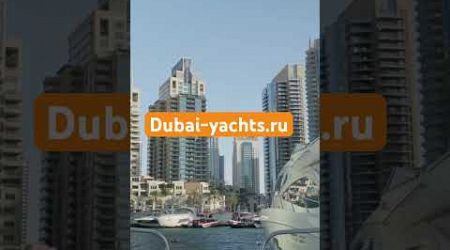 ✅ Dubai yachts charter! #dubai #emirate #yachts #charter