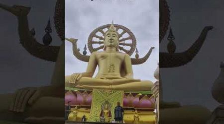 Bigbuddha koh samui, The most famous local attraction#travel #amazing #walkthrough #temple #tour