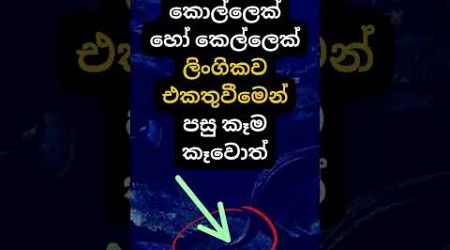 හම්බෝ එයාලට වෙන දේ හිතාගන්නවත් බෑ 