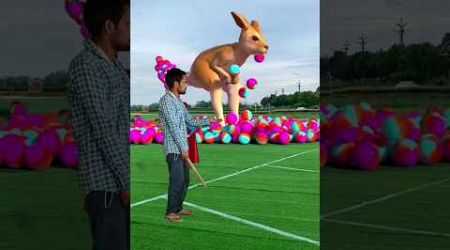 The mascot vibrato assistant placed on the football field is popular, co-produced, creative new spe