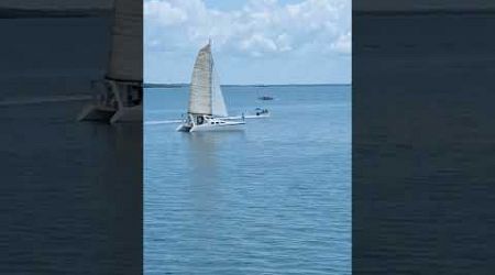 Sailing the Darwin Harbor #boat #sailing #australia #northernterritory #foryou