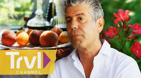 Basking in the Beauty of Provence | Anthony Bourdain: No Reservations | Travel Channel