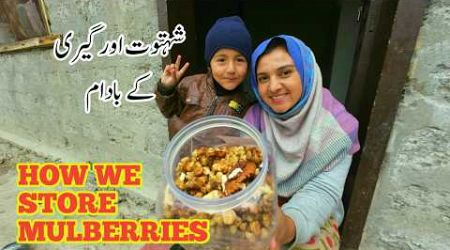 How We Store Mulberry Fruit | Daily Lifestyle Vlog | My Village | Vlogs New Video