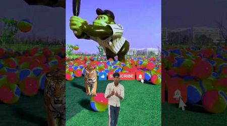 The mascot vibrato assistant placed on the football field is popular, co-produced, creative new