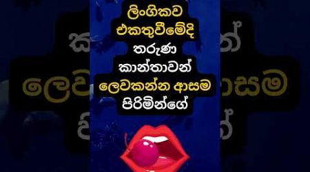 හම්බෝ ඒ දේ නම් හිතාගන්නවත් බෑ 