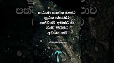 මෙහෙම කරානම් හරි 