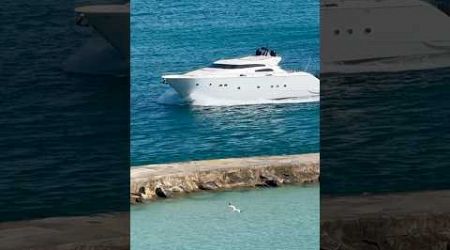 Pelican diving near the Haulover Inlet. Did you notice the yacht?