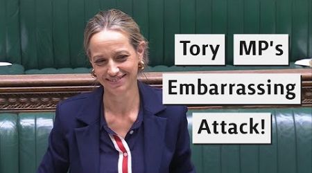 Tory MP Embarrasses Herself When Attacking The Government!