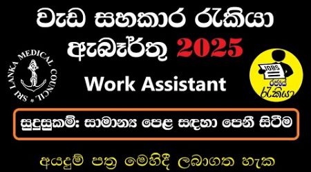 New Government Job Vacancies 2025 | Work Assistant - Sri Lanka Medical Council Application