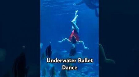 #underwater #underwater dance #thailandtravel #phuket #centralphuket #lovesong #viralshorts