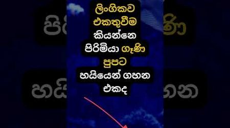 හම්බෝ දන්නවද ඒ මොකද්ද කියලා 