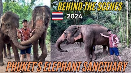 Inside Phuket&#39;s LARGEST Elephant Sanctuary! #phuket #thailand