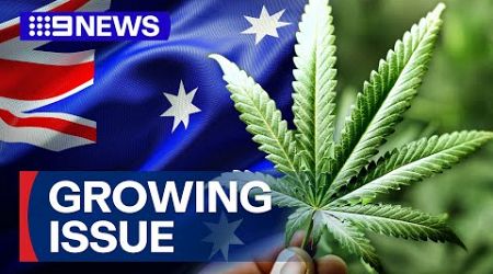 Data reveals just how much Aussies will spend on medical cannabis this year | 9 News Australia