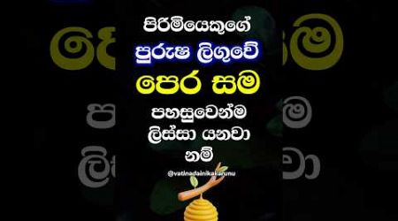 එහෙම වෙනවනම් ලොකු අව්ලක් ඒක 