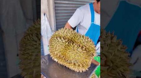 Unboxing Durian Cutting Skill in Bangkok - Fruits Cutting Skill