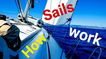 Why Does a Sailboat Have a Sail Fun Facts for Kids