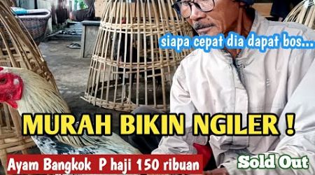 MURAH BIKIN NGILER !!HARGA AYAM BANGKOK P HAJI 150 RIBUAN LANGSUNG SOLD OUT PASAR SUMPIUH BANYUMAS