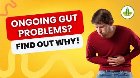 Did COVID Wreck Your Gut Health?