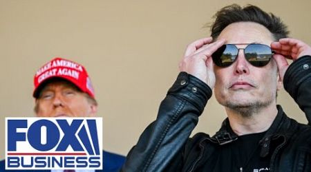 &#39;IT&#39;S JUST THE BEGINNING&#39;: Democrats rage against Elon Musk continues