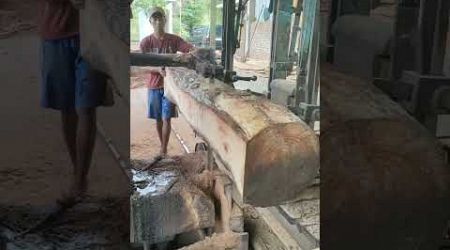 Proses kayu Mindi 1#wood #india #brazil #thailand