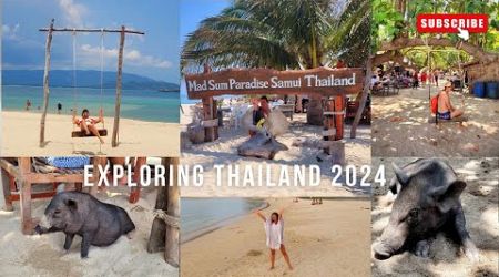 Pig Island - Koh Mad Sum.. wyspa szczęśliwych świnek - Koh Samui TAJLANDIA 2024 @happylife50plus