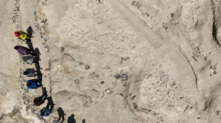 Fossil footprints in Kenya show two ancient human species coexisted