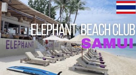 Elephant Beach Club and Resort, Samui, Thailand | Walkthrough and Visual Review