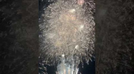 Most Amazing Firework 