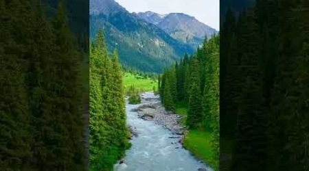 Beautiful kashmir #nature #travel #mountains #gulmargkashmir #love #beautiful #valley #kashmir