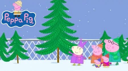 Peppa Visits the Christmas Tree Shop | Travel with Peppa