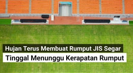 rumput jis semakin hijau tinggal menunggu kerapatan &amp; tunas baru, jakarta international stadium