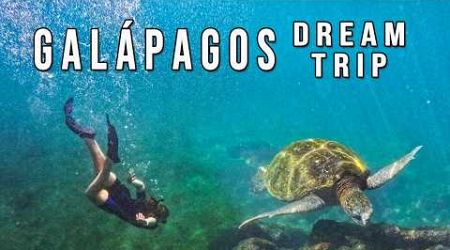 The Galapagos: Our Family&#39;s Yacht Adventure Along the Pan-American Highway- SB Ep 51