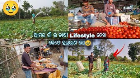 ଆମର ଗାଁ ର ଚାଷୀ Lifestyle ଦେଖ କେତେ ହଇରାଣ ଯେ