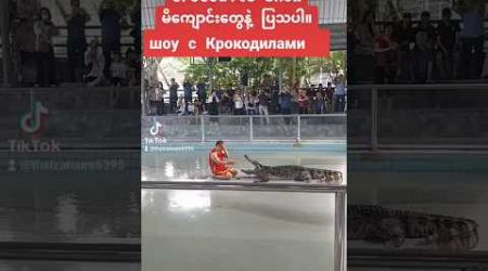 Crocodile show &amp; mini zoo #pattaya #thailand #паттайя #таиланд