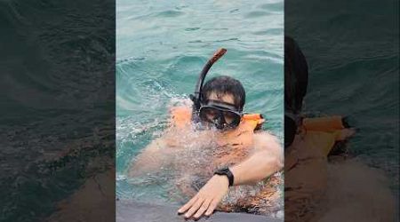 Snorkeling at high tide #shorts #pattaya #snorkeling