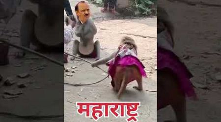 देवा भाऊ असेच करणार यांच्या सोबत #politics#funny#ncp#cm#ajitpawar #bjp#udhavthakarey#comedy #mns