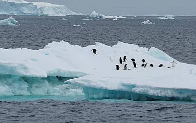 China's first atmospheric monitoring station in Antarctica begins operations