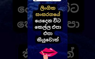 හම්බෝ එපා අනේ කරන්න 