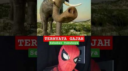 TERNYATA!! GAJAH SEKUAT INI #physics #science #education @zackdfilms