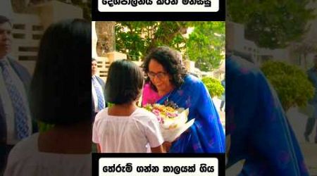 ගහපු කතිර වලට වටිනාකමක් දුන්න මිනිස්සු 