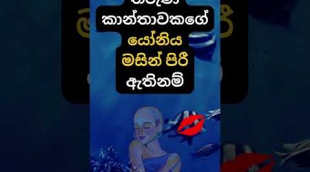 හම්බෝ එයාගෙත් එ වගේද? 